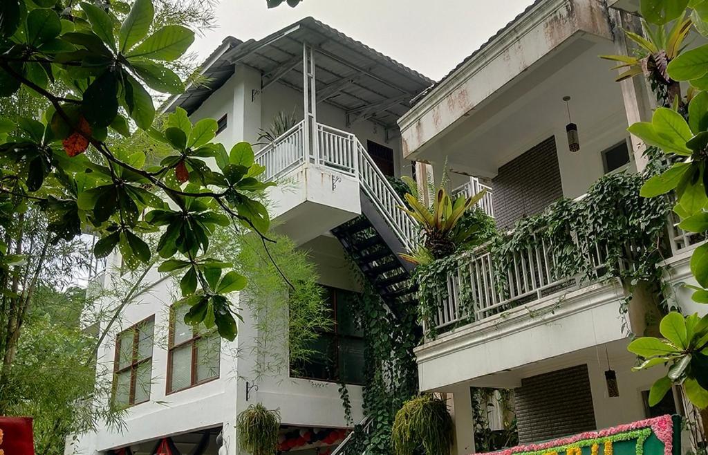 New The Heritage Resort & Restaurant Bukit Lawang Bandartelu ภายนอก รูปภาพ